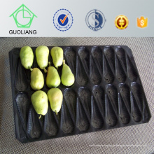 Populäre Großhandelsniederländische Hohlraum-39X59cm u. 29X49cm pp. Plastikfrucht-Zellen-Behälter für Apple u. Birnen-Frucht-Verpackung